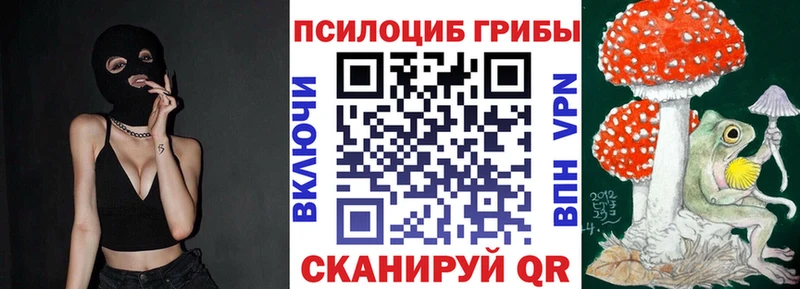 Псилоцибиновые грибы прущие грибы  Апатиты 